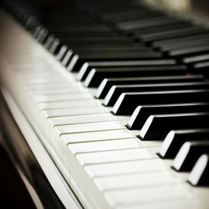 性别自由凸轮管中国2023
